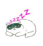 ぽっちゃり白猫さんのかわいいスタンプ（個別スタンプ：11）