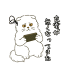 ぽっちゃり白猫さんのかわいいスタンプ（個別スタンプ：15）