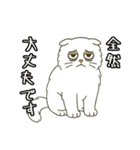 ぽっちゃり白猫さんのかわいいスタンプ（個別スタンプ：16）