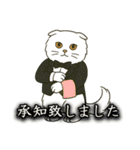 ぽっちゃり白猫さんのかわいいスタンプ（個別スタンプ：27）