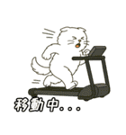 ぽっちゃり白猫さんのかわいいスタンプ（個別スタンプ：32）