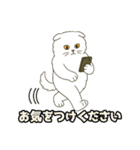 ぽっちゃり白猫さんのかわいいスタンプ（個別スタンプ：38）