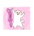 ぽっちゃり白猫さんのかわいいスタンプ（個別スタンプ：40）
