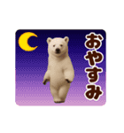 踊る！くまMAX/熊/クマ/べアー（個別スタンプ：3）