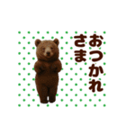 踊る！くまMAX/熊/クマ/べアー（個別スタンプ：5）