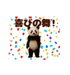 踊る！くまMAX/熊/クマ/べアー（個別スタンプ：11）