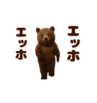 踊る！くまMAX/熊/クマ/べアー（個別スタンプ：12）
