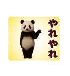 踊る！くまMAX/熊/クマ/べアー（個別スタンプ：14）