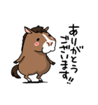 ウマの毎日2（個別スタンプ：10）