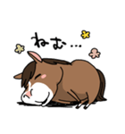 ウマの毎日2（個別スタンプ：31）
