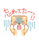 年齢を感じる人が使う❤️いやしばいぬ❤️（個別スタンプ：9）