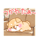 年齢を感じる人が使う❤️いやしばいぬ❤️（個別スタンプ：13）