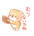 年齢を感じる人が使う❤️いやしばいぬ❤️（個別スタンプ：16）