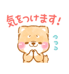 年齢を感じる人が使う❤️いやしばいぬ❤️（個別スタンプ：18）