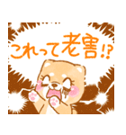 年齢を感じる人が使う❤️いやしばいぬ❤️（個別スタンプ：24）