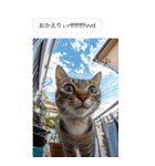 ●写真添付して誤送信ねこ。（個別スタンプ：18）