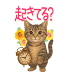 リアルねこ！家族と毎日使える主婦猫の日常（個別スタンプ：2）