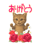 リアルねこ！家族と毎日使える主婦猫の日常（個別スタンプ：7）