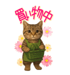 リアルねこ！家族と毎日使える主婦猫の日常（個別スタンプ：10）