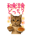 リアルねこ！家族と毎日使える主婦猫の日常（個別スタンプ：19）