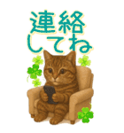 リアルねこ！家族と毎日使える主婦猫の日常（個別スタンプ：24）