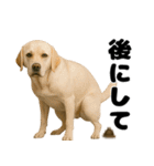 うんこ中の犬。（個別スタンプ：2）
