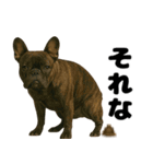 うんこ中の犬。（個別スタンプ：7）