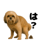 うんこ中の犬。（個別スタンプ：13）