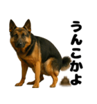 うんこ中の犬。（個別スタンプ：14）