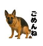 うんこ中の犬。（個別スタンプ：18）