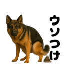 うんこ中の犬。（個別スタンプ：30）