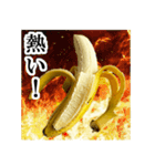 食べたいバナナ（個別スタンプ：5）