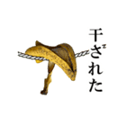食べたいバナナ（個別スタンプ：15）