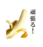 食べたいバナナ（個別スタンプ：22）