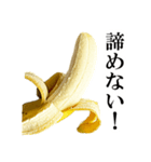 食べたいバナナ（個別スタンプ：23）