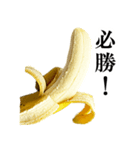 食べたいバナナ（個別スタンプ：24）