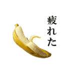 食べたいバナナ（個別スタンプ：36）