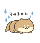 しばさん。（個別スタンプ：13）