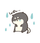 しばさん。（個別スタンプ：17）