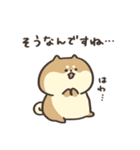 しばさん。（個別スタンプ：26）