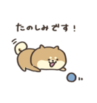 しばさん。（個別スタンプ：37）