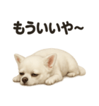 引きこもりチワワの日常スタンプ（個別スタンプ：12）