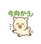 ふわもこアルパカの日常（個別スタンプ：13）