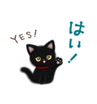 黒猫子猫ちゃんの日常スタンプ（個別スタンプ：23）