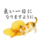 飛び出す【夏】ずっと使える大人のご挨拶（個別スタンプ：4）
