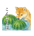 飛び出す【夏】ずっと使える大人のご挨拶（個別スタンプ：5）