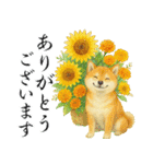 飛び出す【夏】ずっと使える大人のご挨拶（個別スタンプ：6）