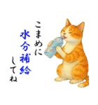 飛び出す【夏】ずっと使える大人のご挨拶（個別スタンプ：20）