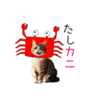 毎日猫⭐︎食べ物ダジャレ（個別スタンプ：11）