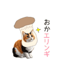 毎日猫⭐︎食べ物ダジャレ（個別スタンプ：18）